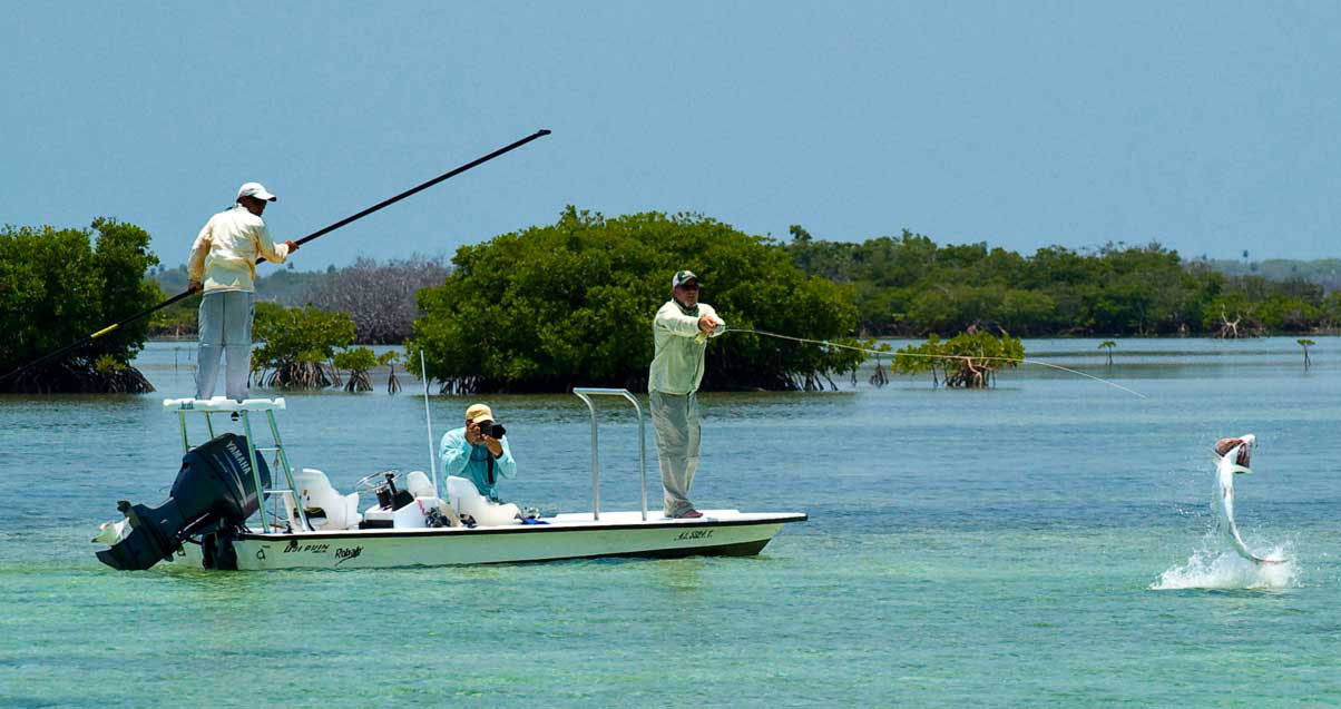 Jardines del Rey