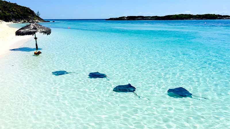 caribe