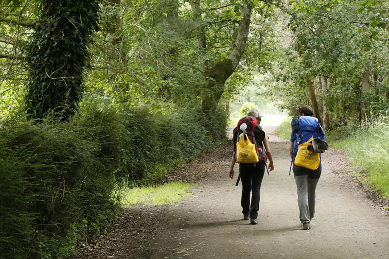 reciciclaje-camino de santiago
