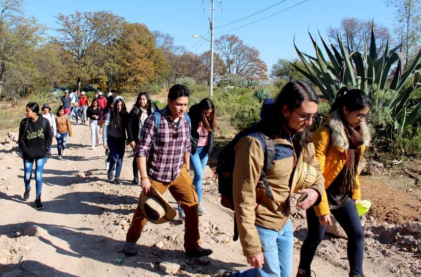 ruta del hongo