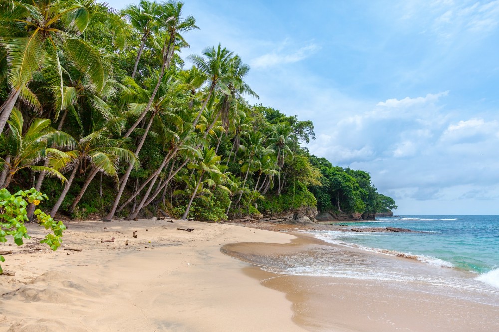 playa del Caribe