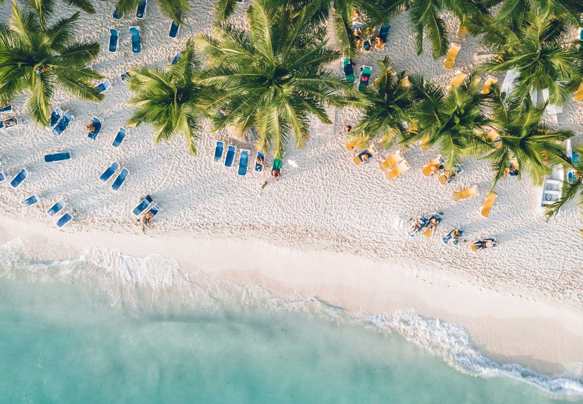 Dominicana