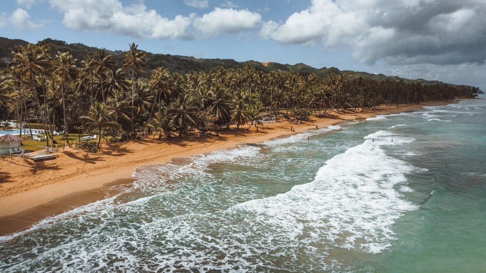 Dominicana