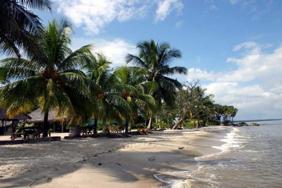  Lívingston