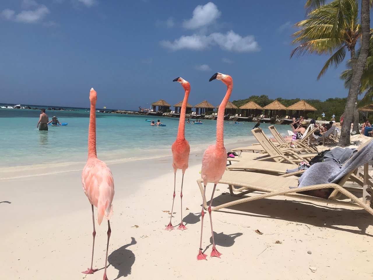 Caribe hoteles todo incluido