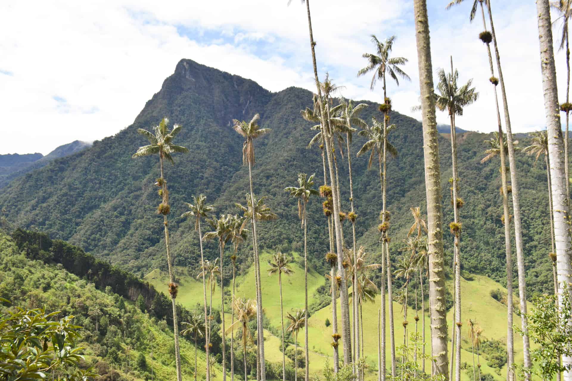 Medellín, Valle del Cocora y Cartagena