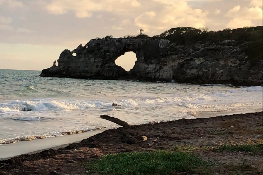 ventana