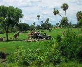 Estados Unidos: Abren espacio de ambiente australiano en Busch Gardens
