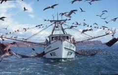 Belice prohibirá desde el 1 de enero todas las formas de pesca de arrastre en sus aguas jurisdiccionales