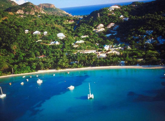 Quince países caribeños reportan transmisión de fiebre chikungunya