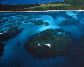 México: Emprenderán programa de conservación del Sistema Arrecifal Mesoamericano