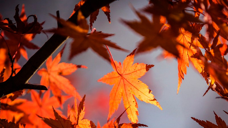 Una escapada ideal en el otoño