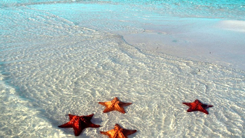 Destino cubano Jardines del Rey  con nuevas ofertas extrahoteleras