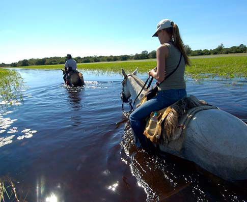 Mato Grosso, el corazón verde de Brasil