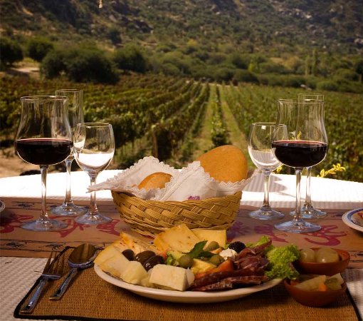 Congreso Latinoamericano de Viticultura y Enología sesiona este año en Chile