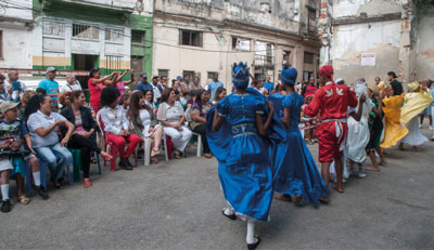 Quisicuaba retoño en las raíces.