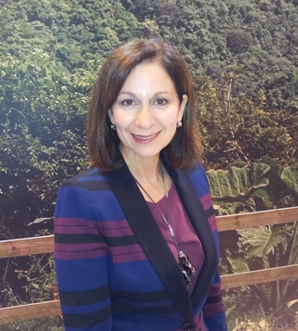 Puerto Rico busca más conectividad, una marca país, mejor servicio e infraestructuras en el turismo