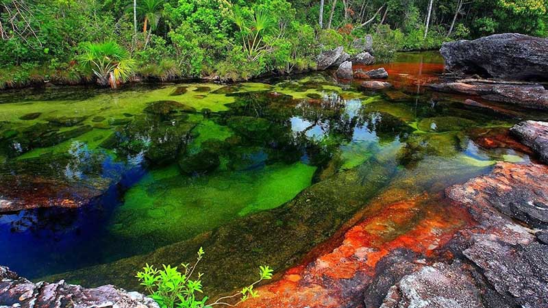 Colombia: afectado por sequía río de cinco colores