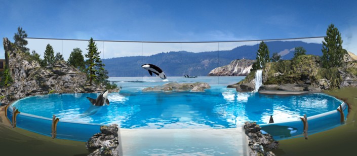 SeaWorld Anunció última Generación de Orcas en su Cuidado