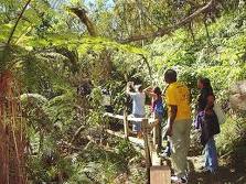 España: Exhortan el PNUMA y la OMT a invertir mucho más en turismo sostenible 